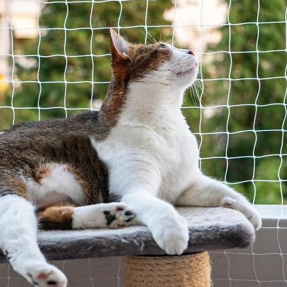 Filet de protection pour chats transparent en nylon 3 x 4 m - découpable sur mesure - résistant à la déchirure - pour balcons et fenêtres