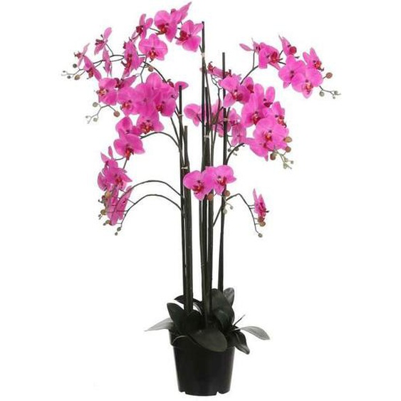 Fleur artificielle - MICA DECORATIONS - Orchidée - Couleur pourpre - Taille 35x35x117 cm - Décoration intérieure