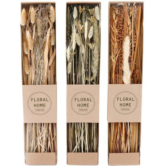 Fleurs séchées naturelles 60 cm Forever (Lot de 3)