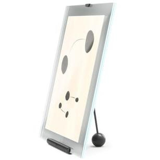 Flute Picture Frame