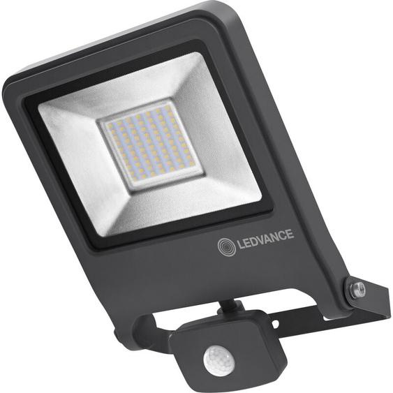 Fluter led dextérieure pour mur, endura® flood Sensor Cool White / 50 w, 220…240 v, Angle de rayonnement: 120°, Cool White, 4000 k, Matériau: