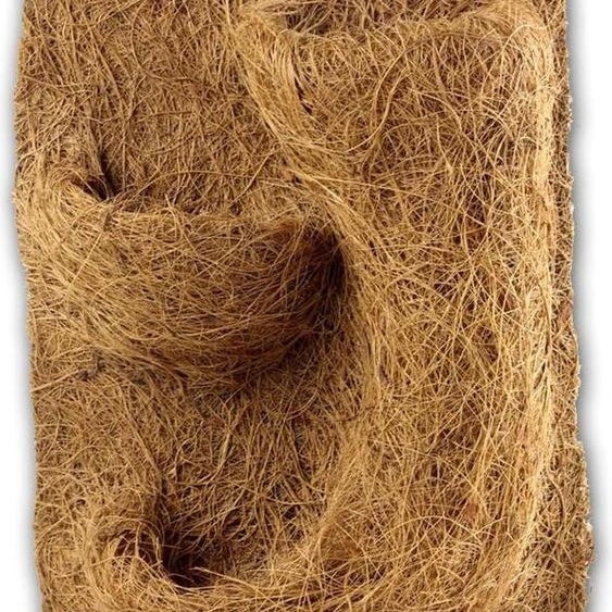 Fond végétal naturel pour terrarium - vivant et décoratif - 1 pièce - 20 x 30 x 1 cm