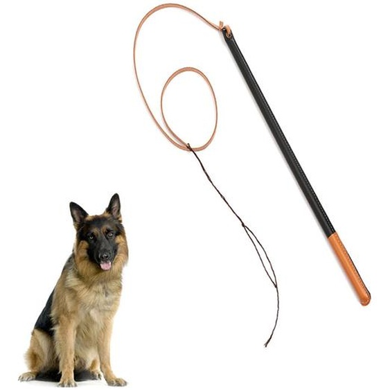 Fouet de dressage pour chiens en cuir synthétique, outil de dressage professionnel pour chiens avec poignée, équipement pour animaux domestiques