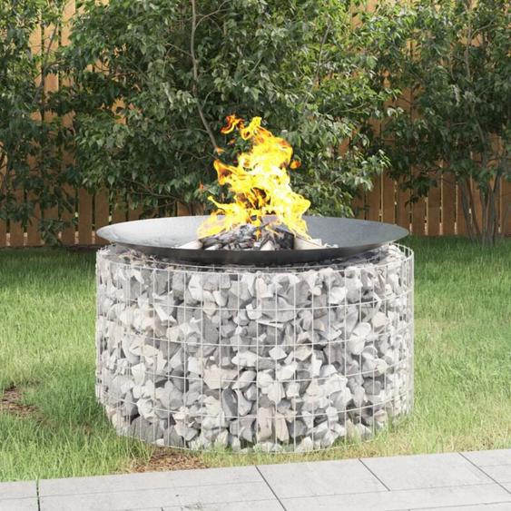 Vidaxl - Foyer en gabion ø 100 cm fer galvanisé
