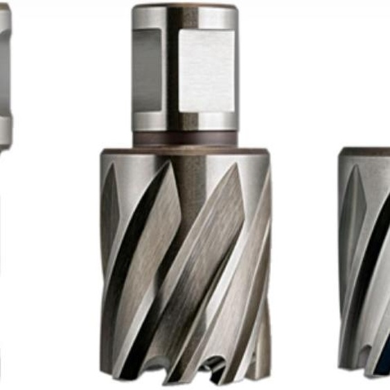 Fraises HSS Nova 50 diamètre 30mm 50mm Weldon - FEIN - 63134300052