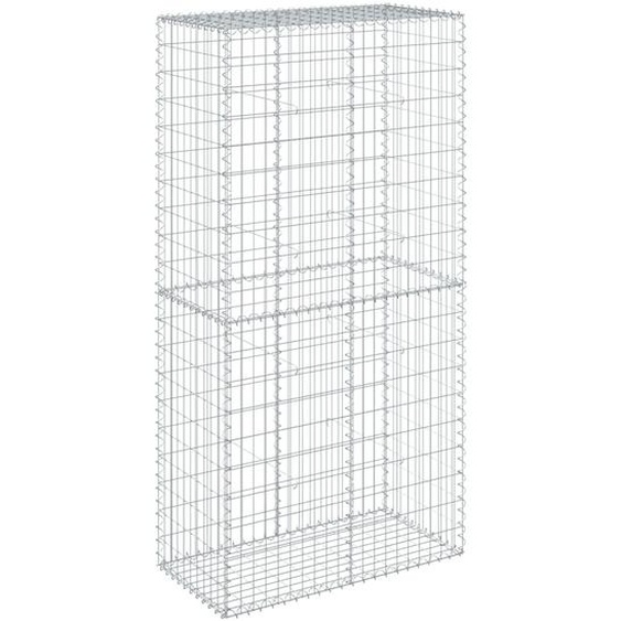 Panier gabion avec couvercle 100x50x200 cm fer galvanisé