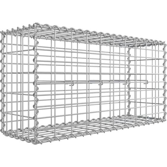 Gabion pour Pierre Songmics GGB153 - Argent - 100 x 50 x 30cm - Clôture gabion - Cage en métal - Panier à Pierre - Décoration de Jardin