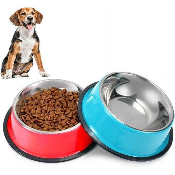 Gamelle pour chien en acier inoxydable avec revêtement antidérapant, chromée, 22 cm