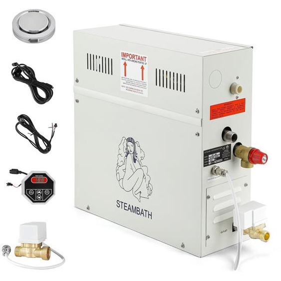 Générateur de vapeur pour sauna - 6 kW - 220 volts - Acier inoxydable
