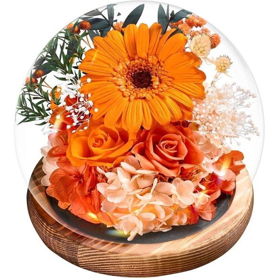 Gerberas et roses éternelles dans un vase avec éclairage | Fleurs conservées, cadeau | Coffret cadeau | Orange | 12x12x13 cm