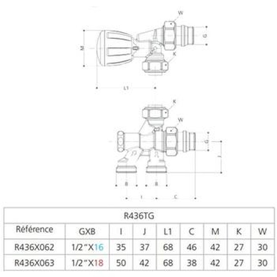 Giacomini - Corps thermostatisable 4 voies R436TG 1/2X16 : R436X062