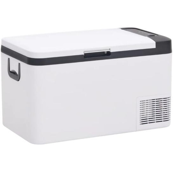 Glacière avec poignée noir et blanc 18 L PP et PE