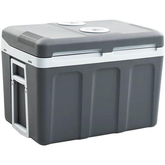 Glacière portable thermoélectrique 40 L 12 V 230 V E