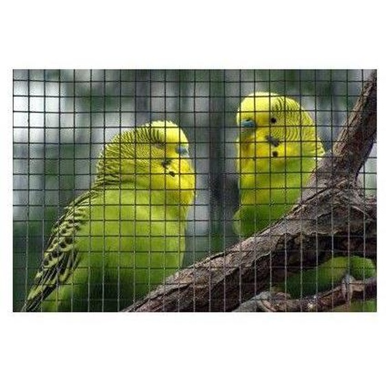 Grillage Carré Acier Galvanisé Plastifié Vert, Maille 6,4 mm, 0,5 x 3 m
