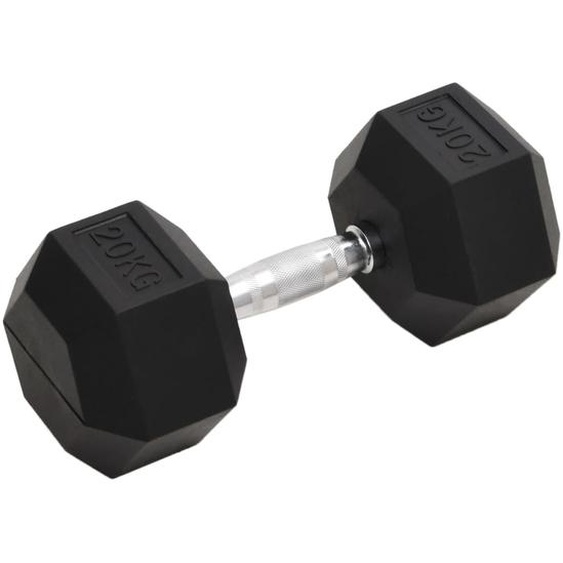 Haltère 20 kg Fonte