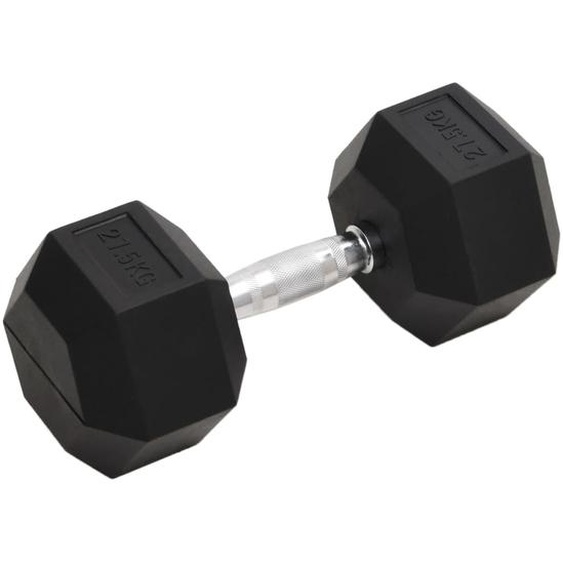 Haltère 27,5 kg Fonte