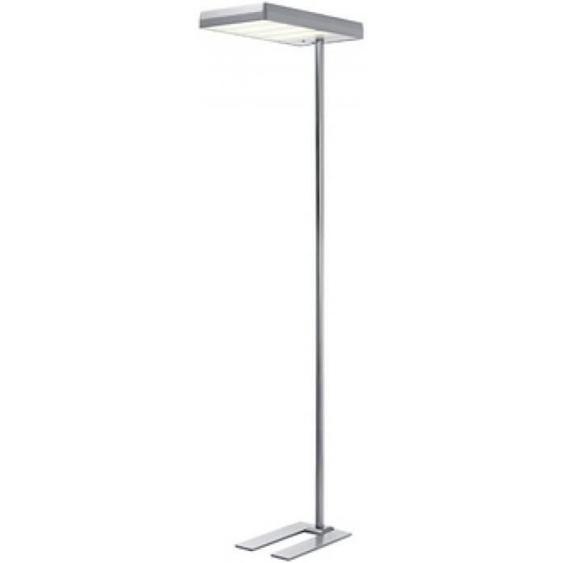 Hansa Lampadaire LED Maxlight, argent 0,000000 Noir