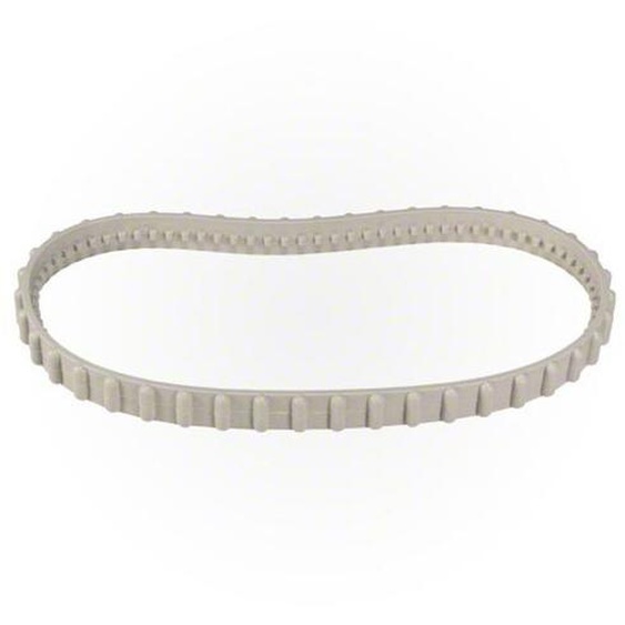 Chenille pour robot électrique Tiger Shark Hayward