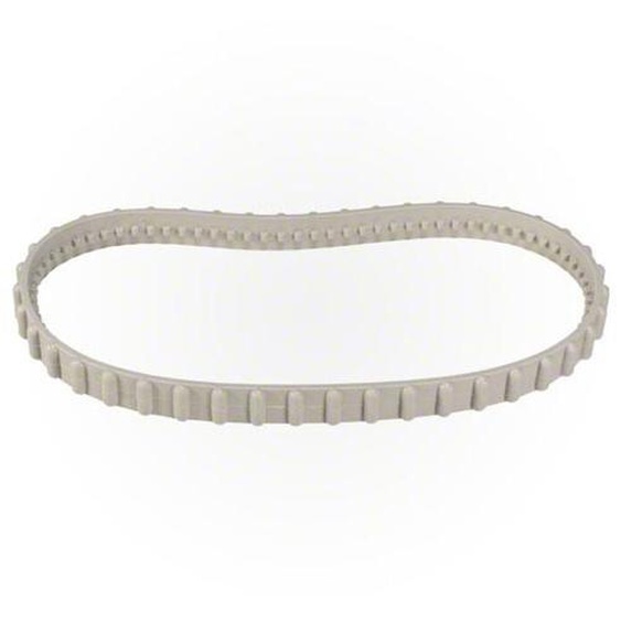 Hayward - Chenille pour robot électrique Tiger Shark