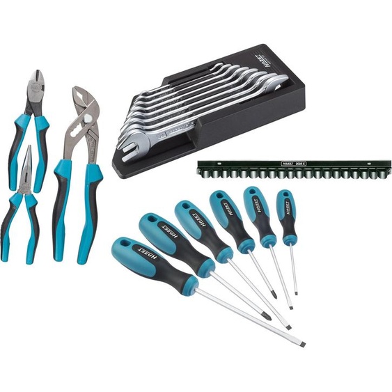 HAZET Jeu doutils 450N/18 Tournevis, Zang y compris outillage