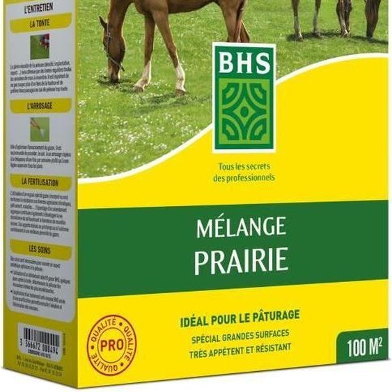 Herbe - BHS - Mélange pour prairie 1kg | 40m² | Pour grandes surfaces et pâturages | Pose rapide, résistant, sans entretien.