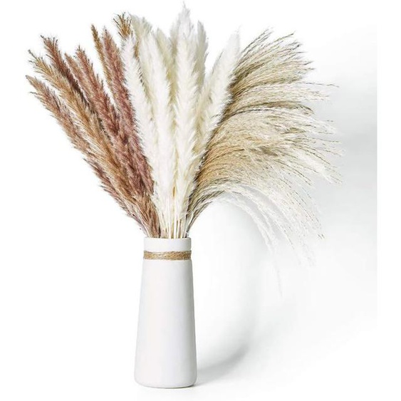 Herbe de la Pampa Séchée Naturelle 60Pcs 65cm avec 3 Types de Couleur Moelleuse et Oscillante Bricolage Bohème Plant pour
