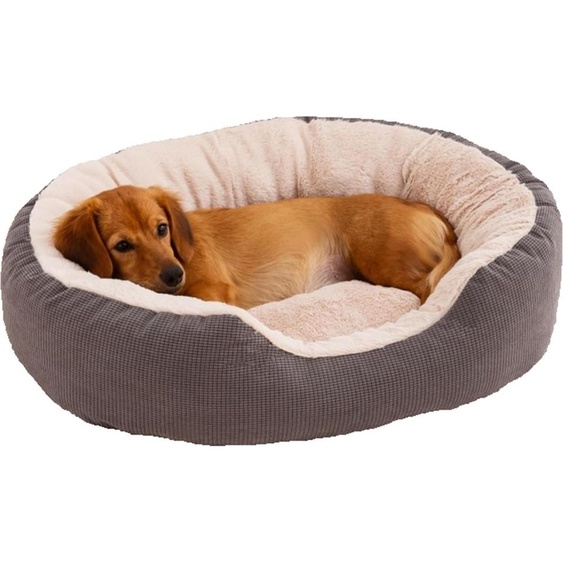 Hiver Chaud Lit rond pour animaux de compagnie avec coussin amovible Confort Lit pour chien Panier pour chien Peluche Cordon Lit pour chat Canapé pour chat,M : 65 * 55 * 21CM