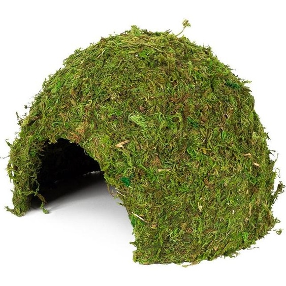 Jungle Cave 2 17 x 17 x 12 cm