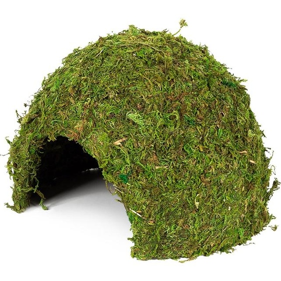 Hobby Jungle Cave - Caverne pour terrarium - Taille 3