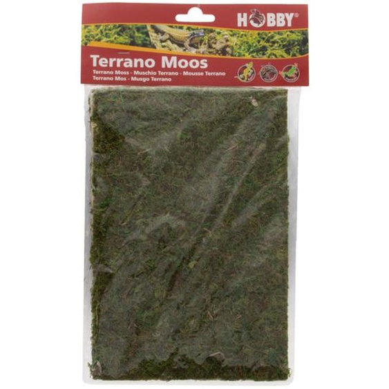 Hobby Terrano Mousse décorative, 100 g