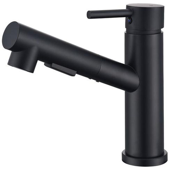 Homelody - Robinet de Cuisine avec Douchette Extractible Mitigeur de Cuisine 2 Jets au Choix Robinet Evier Cuisine en Acier Inoxydable Noir