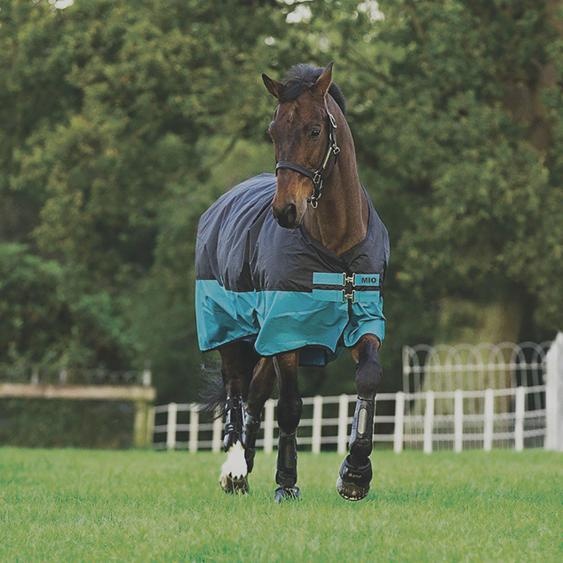 Horseware Mio T/O Med 200g Turnout Couverture imperméable Black/Turq & Black , Taille:53