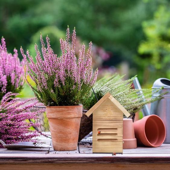 Hôtel à coccinelles pour le jardin - A suspendre - Bois - Naturel brun