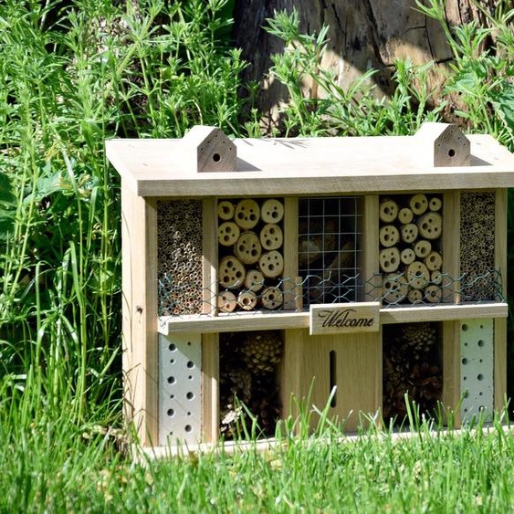 Hôtel à insectes en bois de chêne, format XXL, 47 x 34 x 12,5 cm, pour jardin et balcon