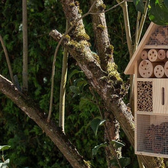 Hôtel pour insectes XXL Nichoir naturel Maison en bois pour insectes volants - abeilles, papillons, coccinelles et autres animaux Environ 48 x 31 x 10 cm