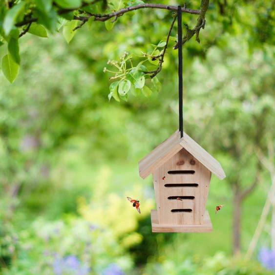 Hôtel Set de 2 Hôtels pour insectes suspendus au jardin Bois non traité Nature - Coccinelle