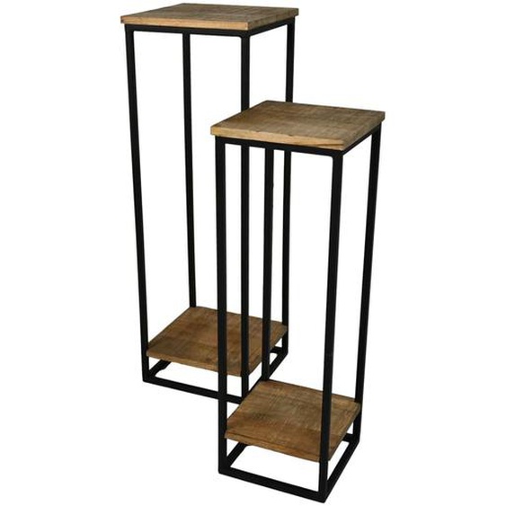 HSM Collection Ensemble de supports à plantes 2 pcs 30x30x90 cm