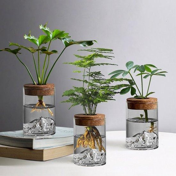 Hydrokultuurbüro - Terrarium de bureau en bois avec couvercle pour la culture de plantes en hydroponie - Décoration de bureau et de salon - Exclusivité