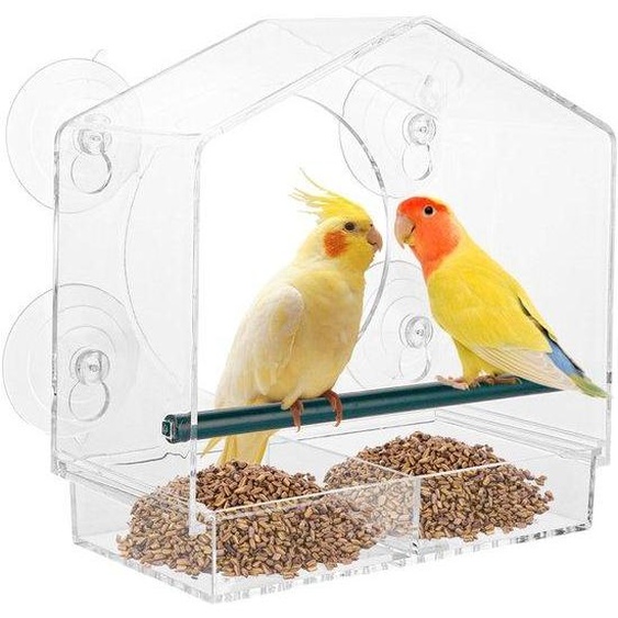 Ibenzoa® : Abri à oiseaux transparent en acrylique, avec 4 ventouses ultra-résistantes, en plastique, dimensions 21,5 x 20,5 x 10 cm, pour les oiseaux sauvages