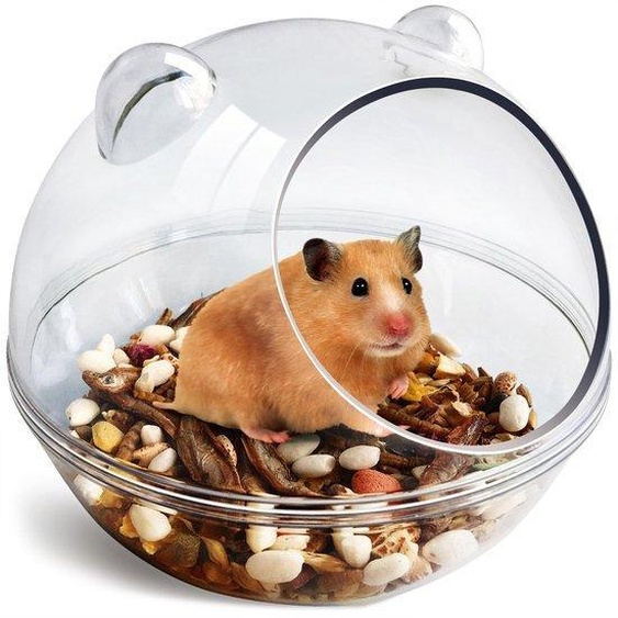 Ibenzoa® : Baignoire pour hamsters – bac à sable transparent pour hamsters et petits animaux, 14 x 14 x 11 cm, bac de bain et de jeu confortable, facile à nettoyer