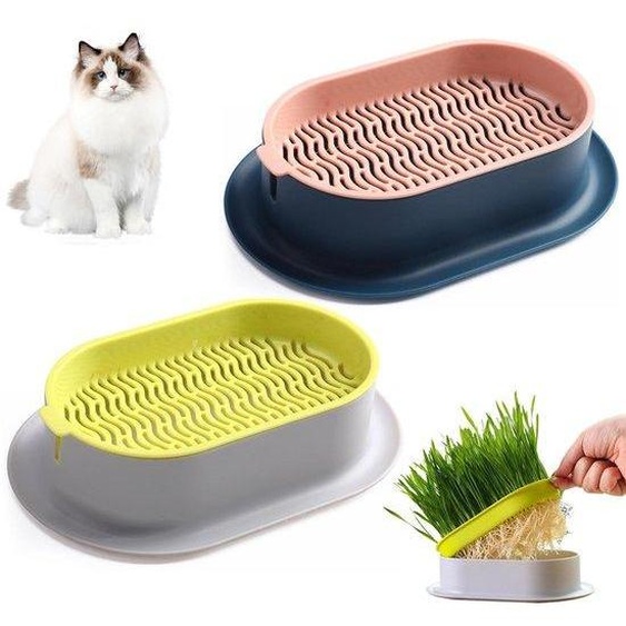Ibenzoa® - Lot de 2 boîtes de germination pour herbe à chat et graines – 18,9 x 12,3 x 4,5 cm, plastique de qualité alimentaire, bleu indigo et gris fluorescent