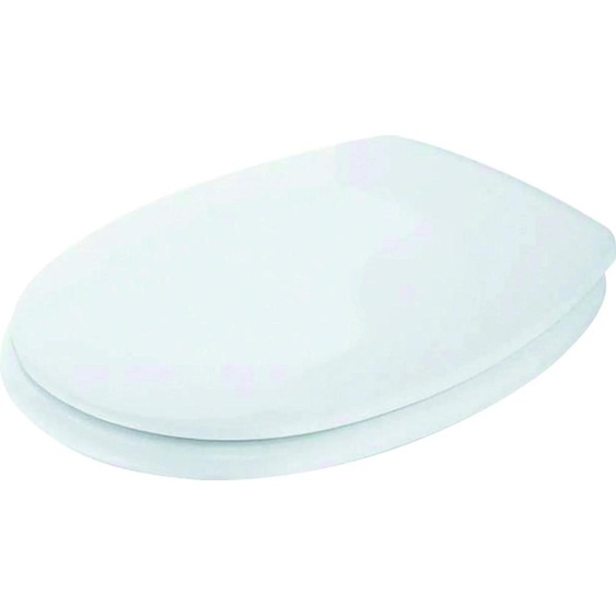 Ideal Standard Ideal Standard Charnières pour siège de WC en acier inoxydable, blanc, 1 pièce.