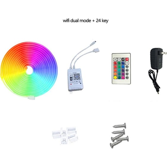INF Bande Lumineuse Néon LED RGB 10m – WiFi, Télécommande 24 Touches, EU