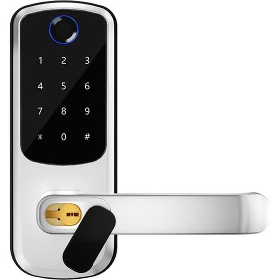 INF Serrure de porte intelligente à empreinte digitale - Alliage daluminium argenté avec déverrouillage à distance
