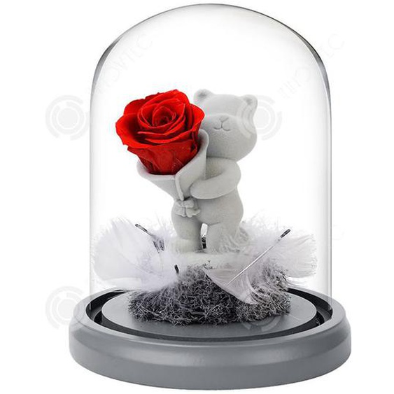 INN® Cadeau de la Saint Valentin Ours de Confession en Velours pour Petite Amie Cadeau dAnniversaire Décoration de la Maison