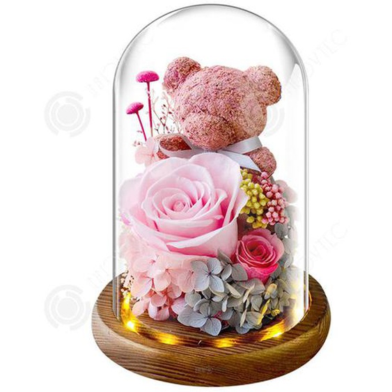 INN® Fleur Perpétuelle Ours Mousse Verre Couvercle Boîte Cadeau Saint-Valentin pour Petite Amie Cadeau dAnniversaire Roses Séchées