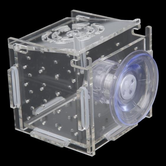 Isolationsbox für Züchter, Acryl Fischzuchtbox für Babyfische und Garnelen, Einzelgitter klein 6x6x6 cm