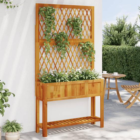 Jardinière avec treillis et étagère bois massif dacacia