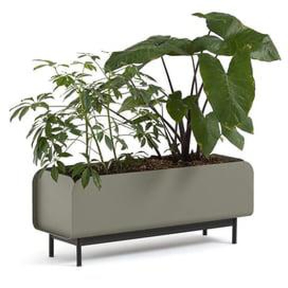 Jardinière basse en métal acier, Fleury