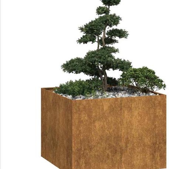 Jardinière rouillé 100x100x80 cm acier inoxydable